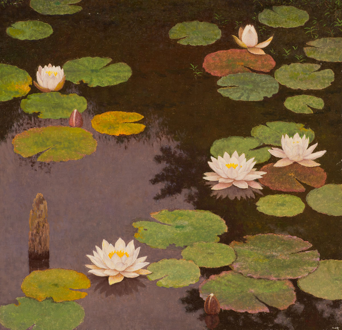 髙島野十郎《睡蓮》